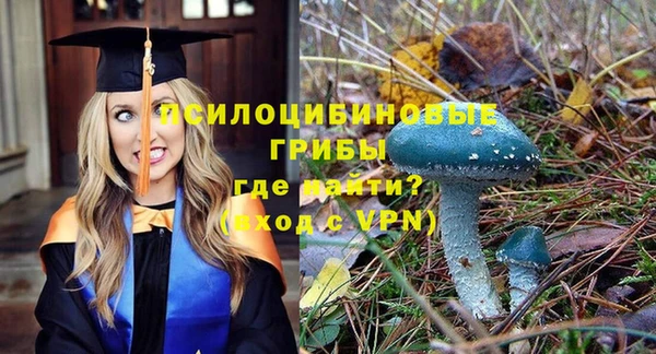 гашик Балабаново
