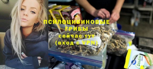 кокс Баксан