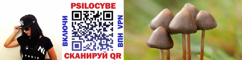 где можно купить наркотик  Балабаново  Галлюциногенные грибы Cubensis 