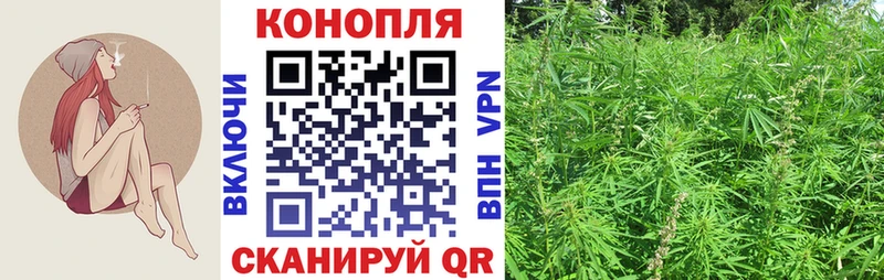 Конопля тримм  OMG онион  Балабаново 